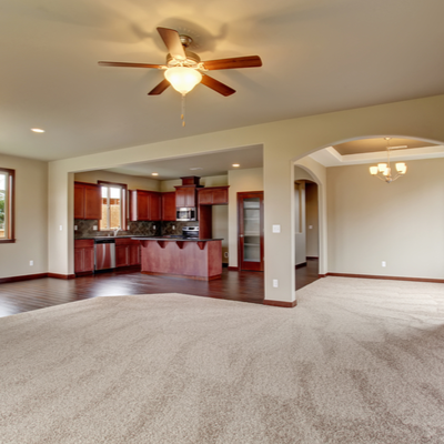 Empty home with clean carpet