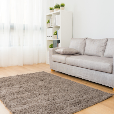 Clean carpet on timber floor in front of white couch